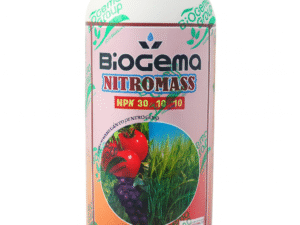 BIOGEMA  NITROMASS